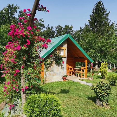 Gazela Bungalov 2 Мойковац Экстерьер фото
