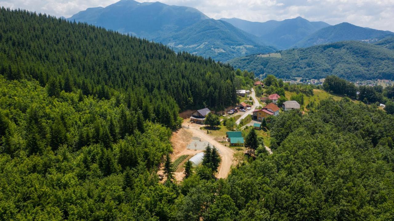 Gazela Bungalov 2 Мойковац Экстерьер фото