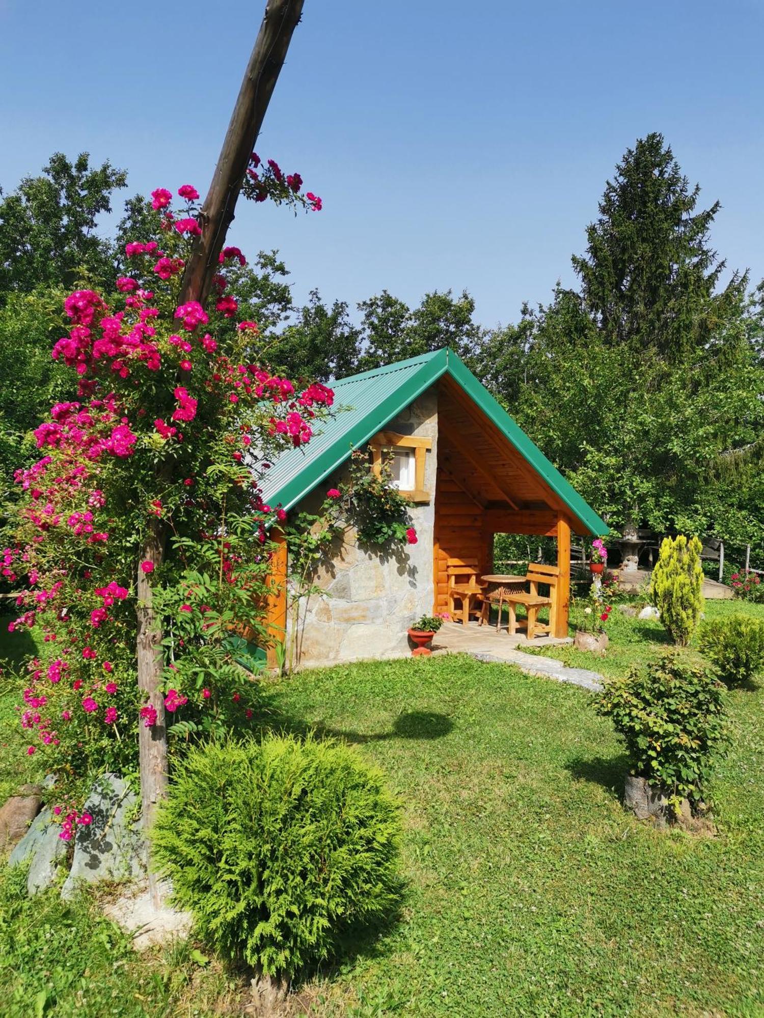 Gazela Bungalov 2 Мойковац Экстерьер фото